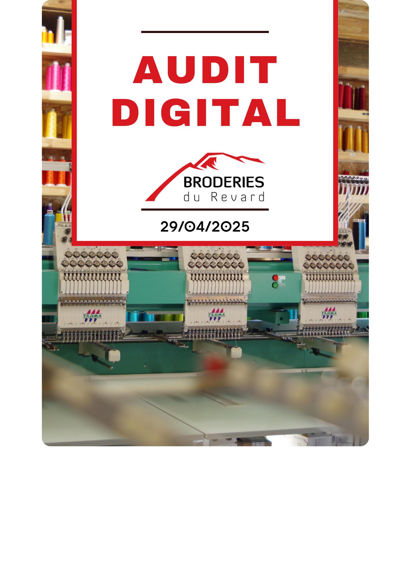AUDIT DIGITAL