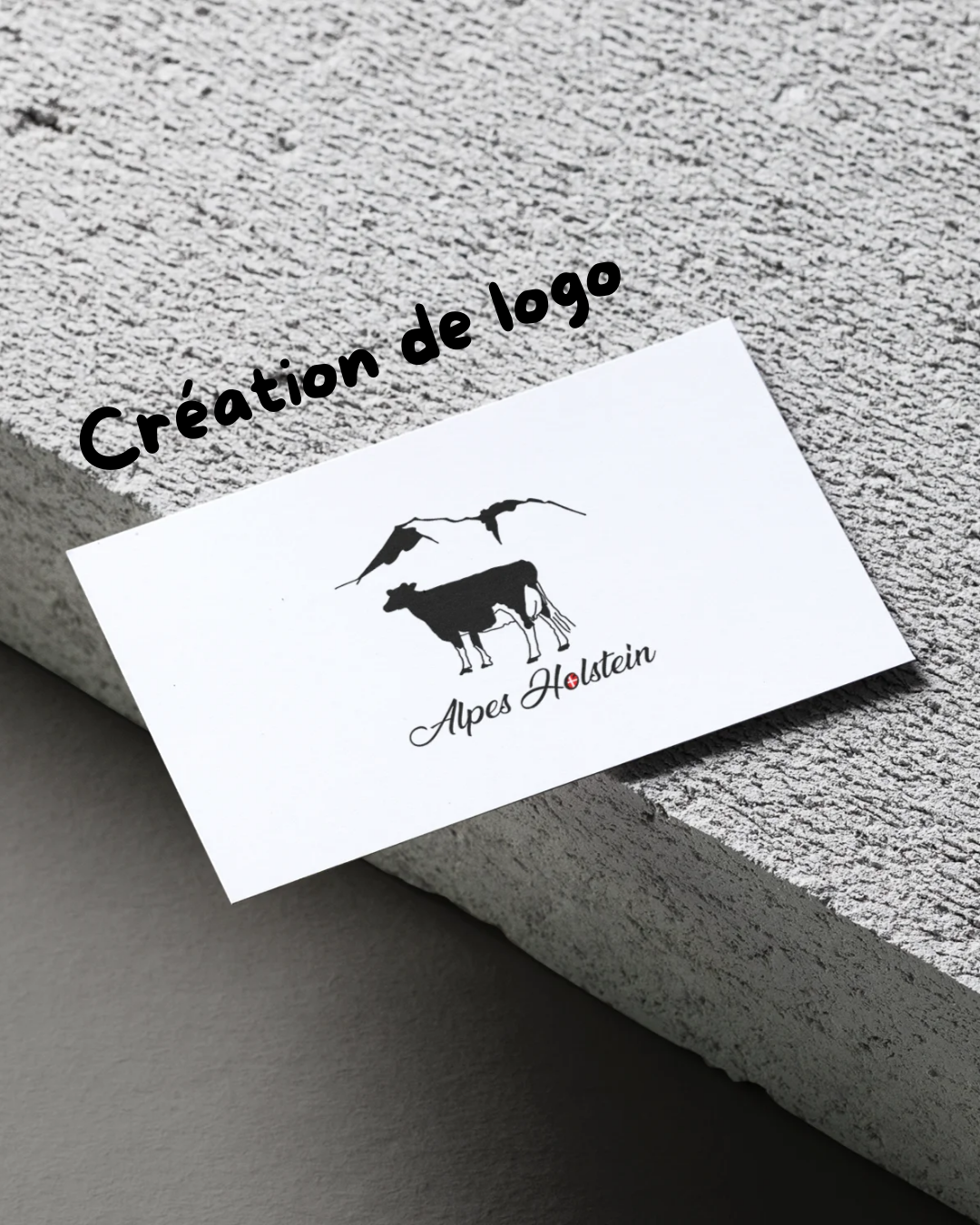 Création d’un logo (5)