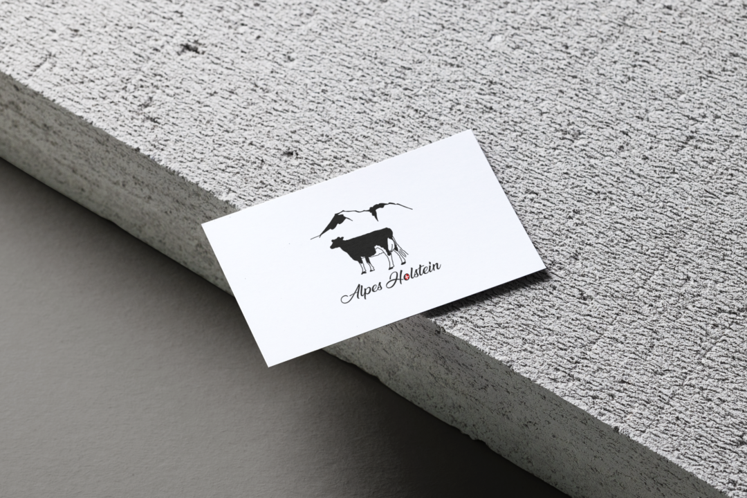 Création de logo – GAEC Alpes Holstein
